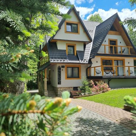 Tatrzańska Miejscówka - Apartamenty Centrum Zakopane Zewnętrze zdjęcie